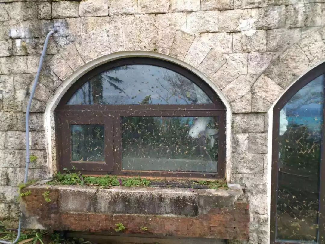 1542095726300232.jpg 993cad41219484f981ea586c46690fbf.jpg